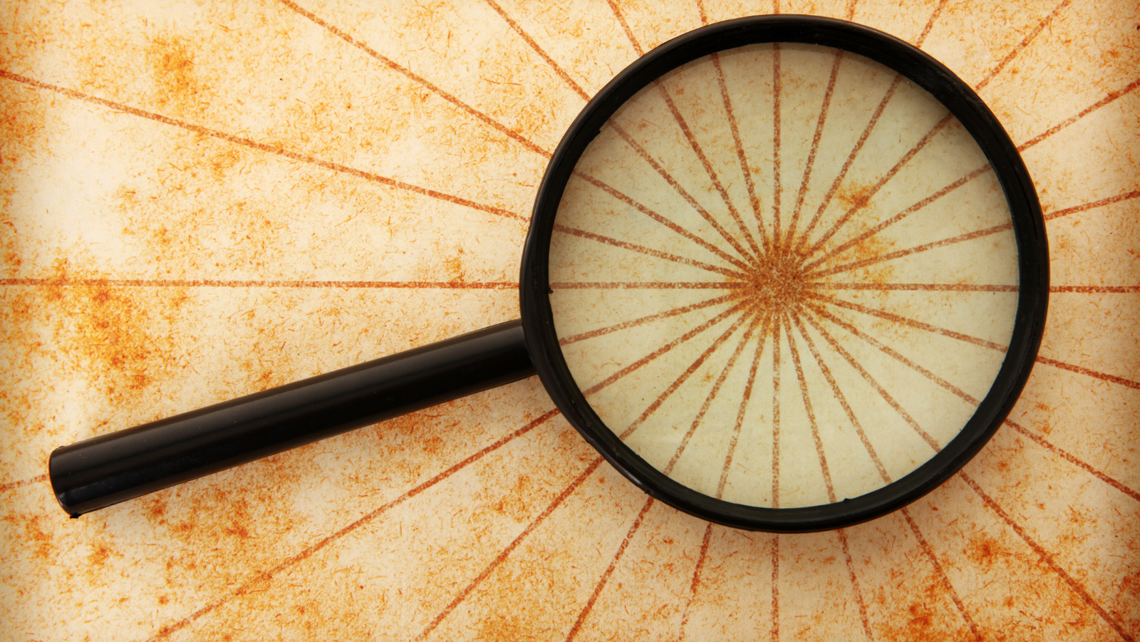 A Complete Guide on NetSuite Saved Searches