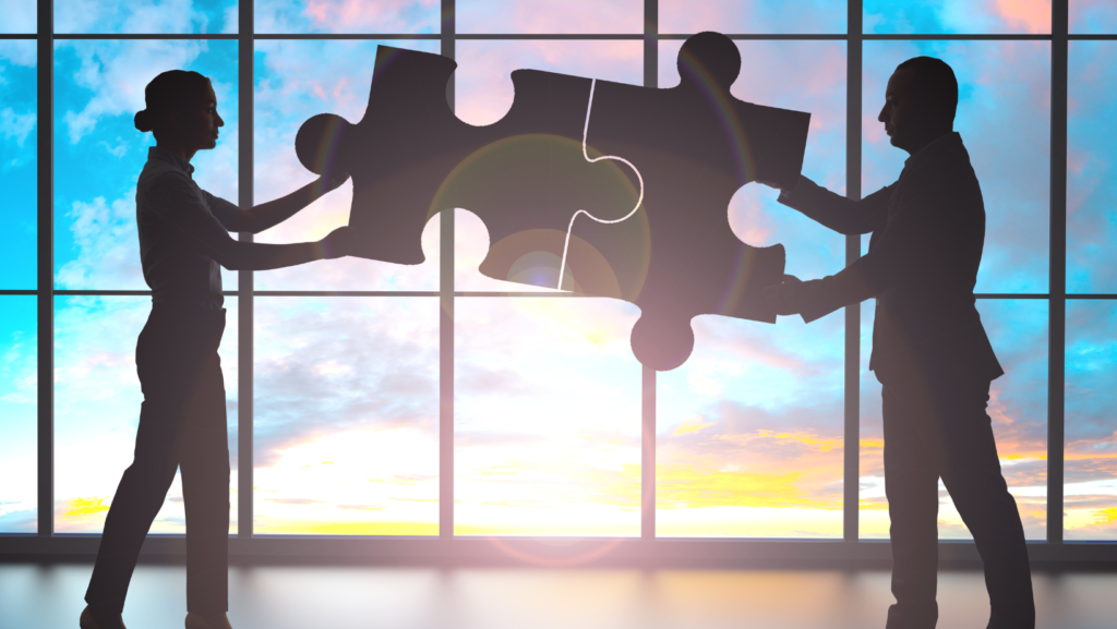 Buying NetSuite from Partners