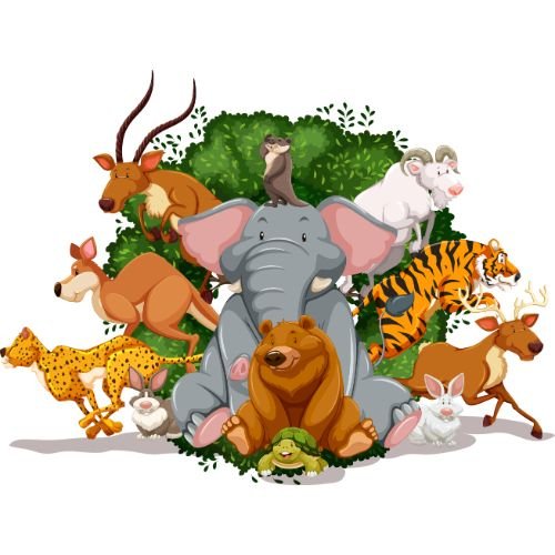 Wildlife