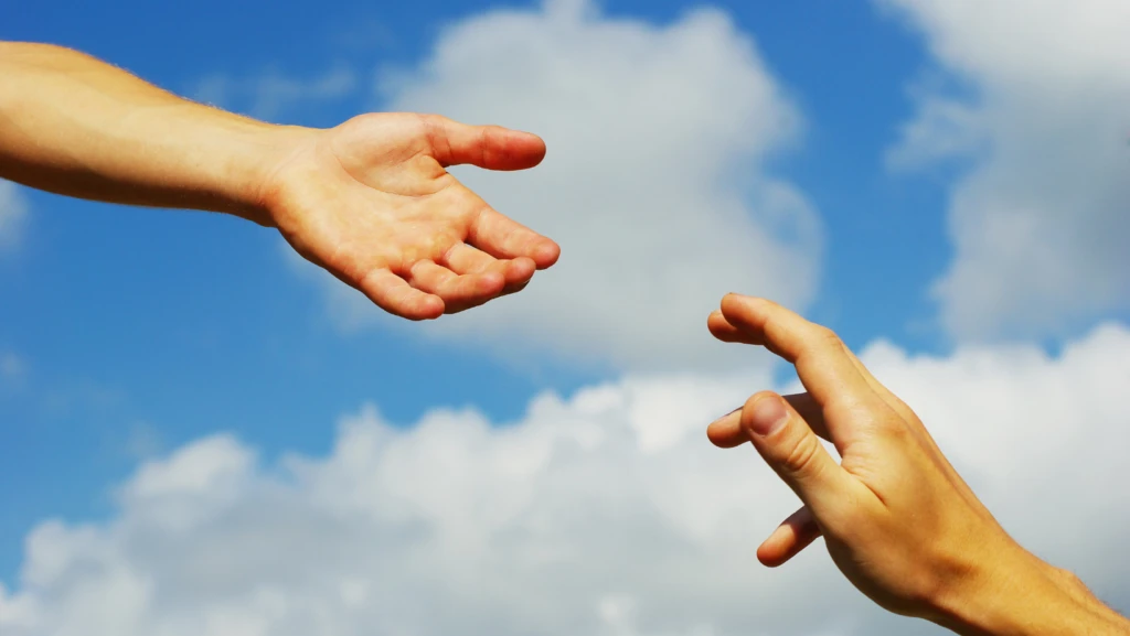 NetSuite Project Rescue Services