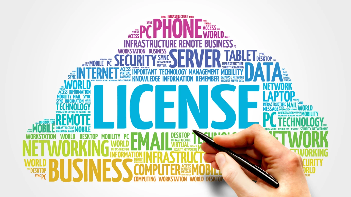 NetSuite Licenses