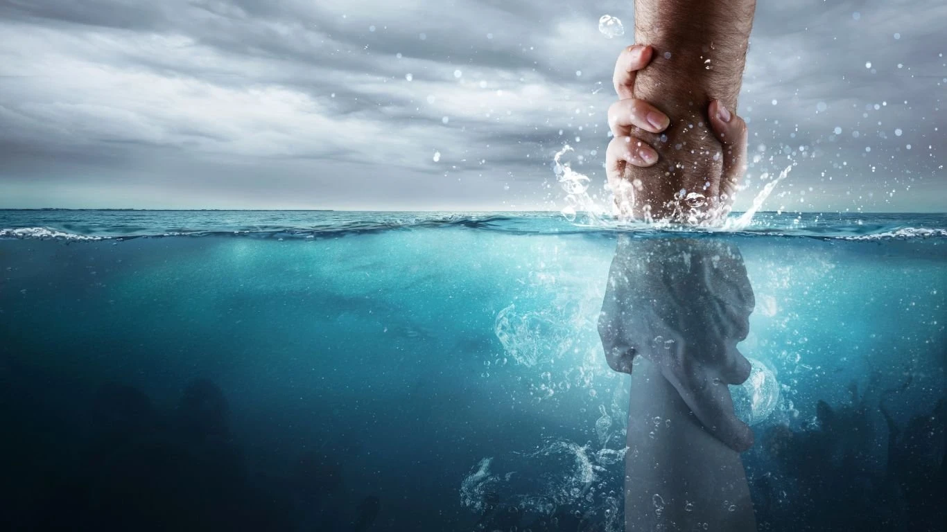 NetSuite Implementation Rescue