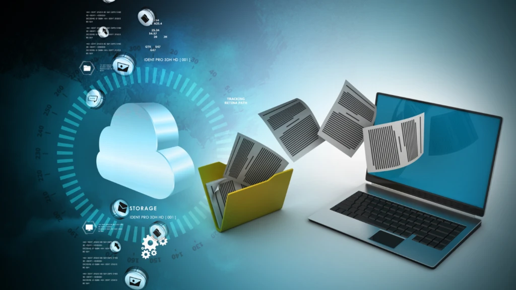 NetSuite Data Cleanup Tool