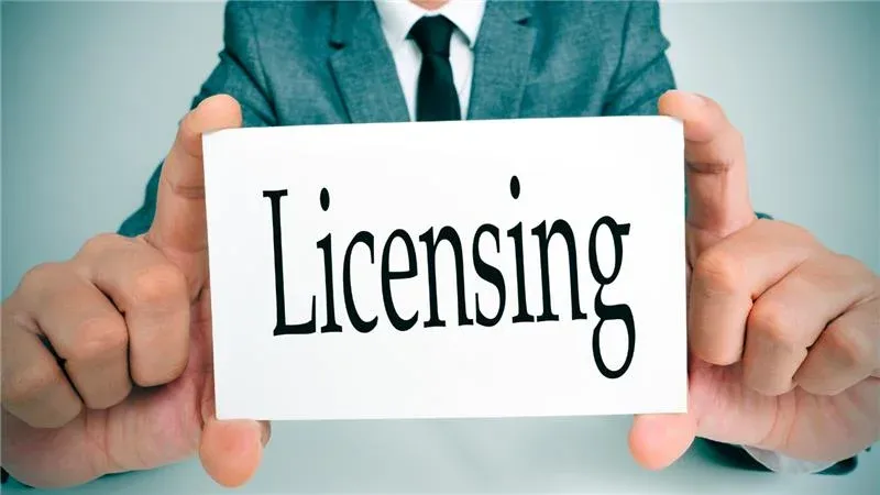NetSuite license